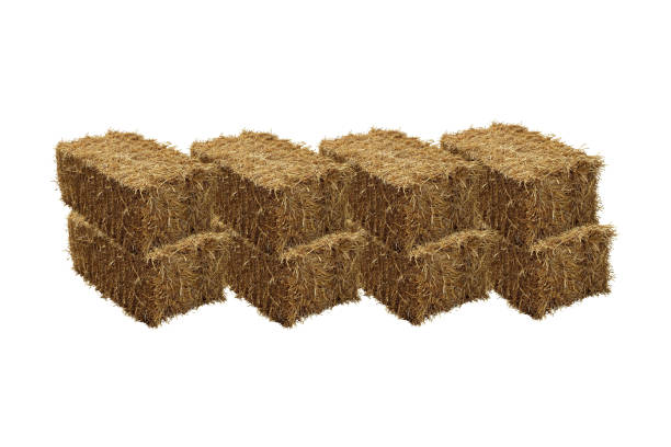 istock Image of rice straw briquette, white background. 1149068379