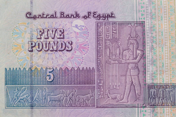 istock Macro shot of five egyptian pounds bill 1149069297