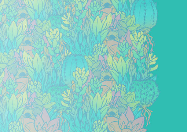 istock Succulent plant and cactus illustration frame material Blue summer color 1149069869