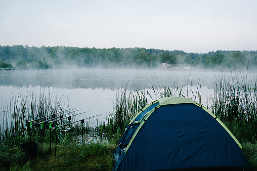 Four carp fishing rods in rod pod on a background of lake and nature. Fishing background. Carp fishing. Misty morning. nature. Holder rods. Wild areas. Blue tent. Signaling devices. Old house