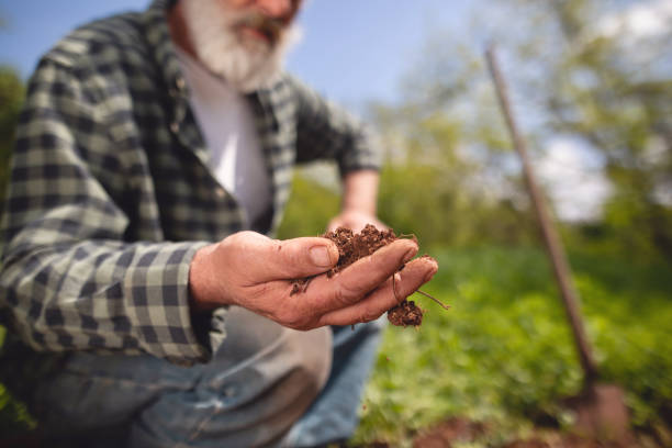 istock Expert farmer inspecting his backyard soil looking for fertile landmarks 1149070770