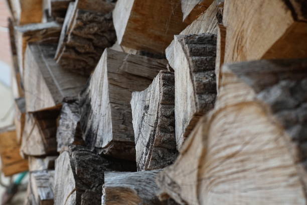 istock Pile of firewood 1149072879