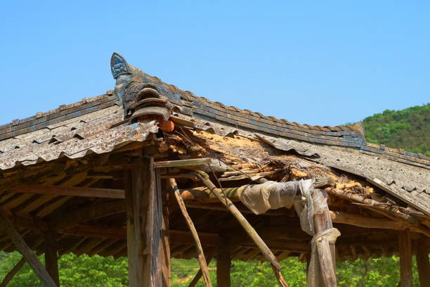istock Old summerhouse, traditional gate, ruins, old trees, broom, etc. 1149073004
