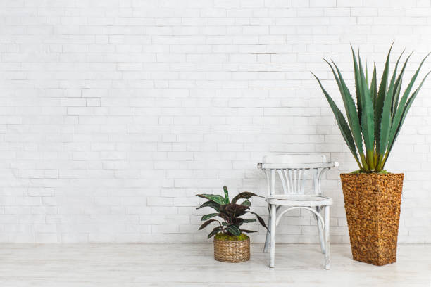 istock Houseplants and the chair over brick wall 1149077156