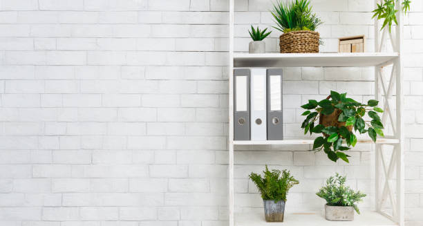 istock Office bookshelf with plants and folders over wall 1149077169