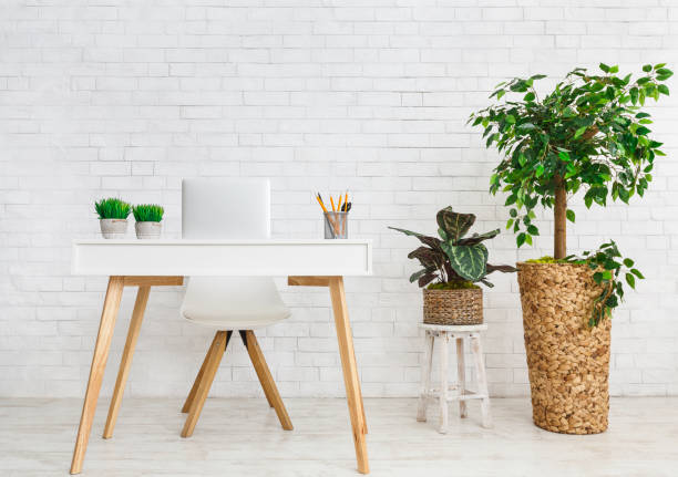 istock Workplace in scandinavian style. Table and various plants 1149077172