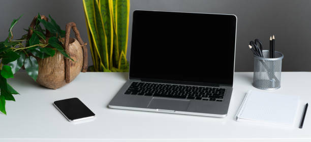 istock Home office with modern laptop and plants 1149077186