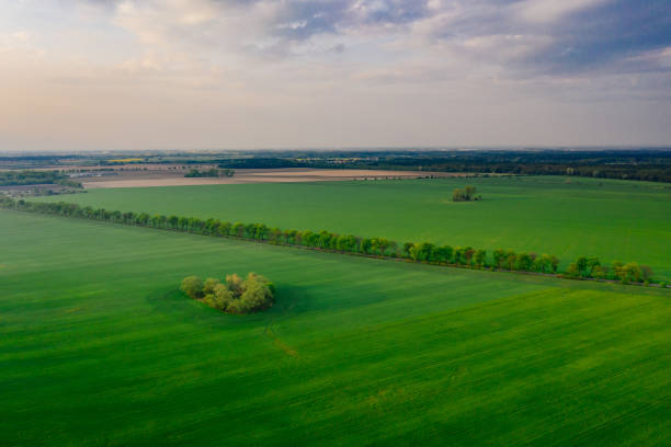 istock Drone photography of the fields 1149077831