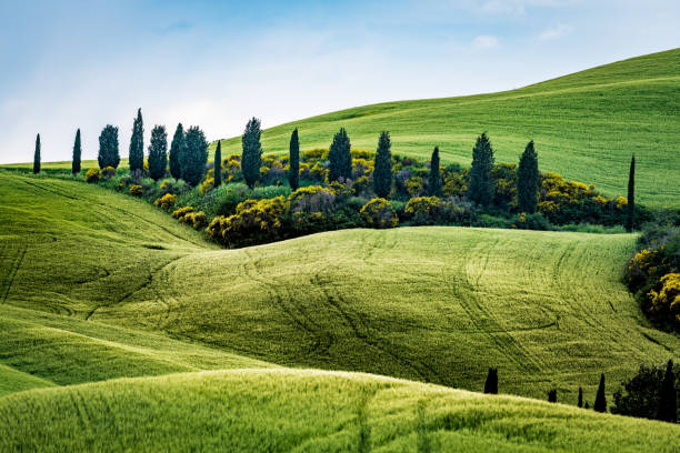 istock Sunny landscape from Val d'Orcia, Tuscany, Italy 1149081836