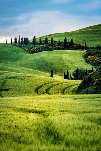 istock Sunny landscape from Val d'Orcia, Tuscany, Italy 1149081889