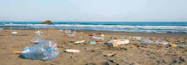 istock Dirty beach landscape full of waste 1149082116
