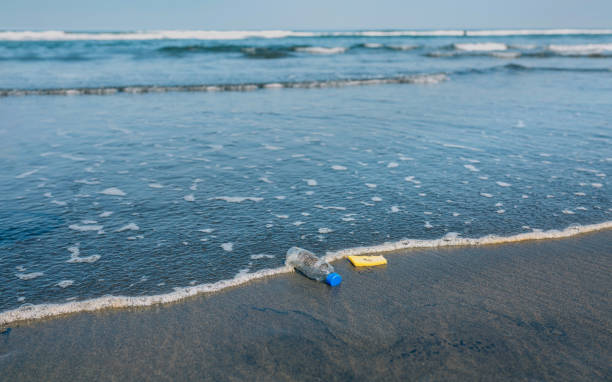 garbage on the seashore - toxic substance spilling pouring bottle imagens e fotografias de stock