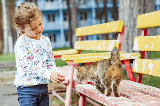 istock little girl playing with cat 1149083159
