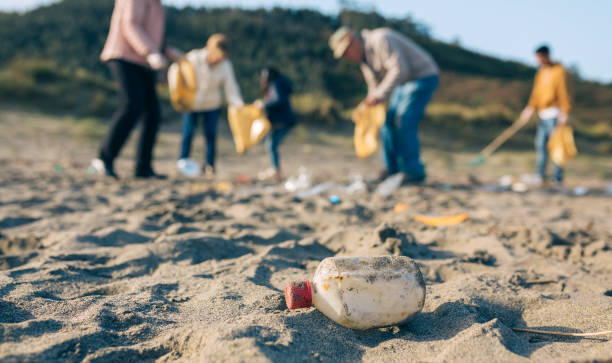 istock Volunteers cleaning the beach 1149083609