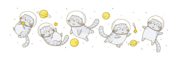 Set of cute scottish fold cats astronauts isolated on white background A group of scottish fold cats astronauts in space astronaut patterns stock illustrations