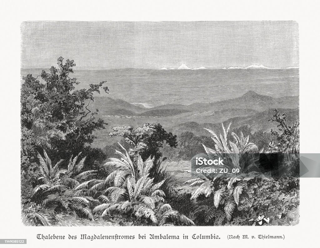 Río Magdalena Valley near Ambalema, Colombia, wood engraving, published 1897 Valley of the Río Magdalena near Ambalema in Colombia. Wood engraving, published in 1897. Colombia stock illustration