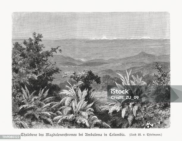 Río Magdalena Valley Near Ambalema Colombia Wood Engraving Published 1897 Stock Illustration - Download Image Now