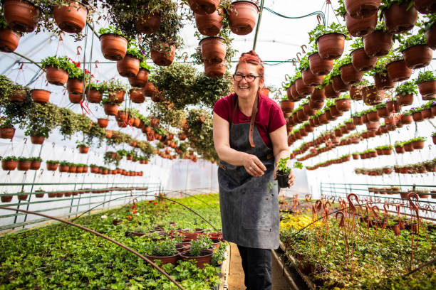 istock Working in my greenhouse makes me happy 1149086056
