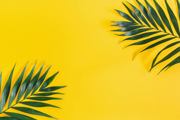 istock Summer composition. Tropical palm leaves on yellow background. Summer concept. Flat lay, top view, copy space 1149086526