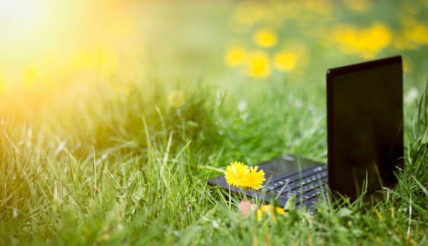 aprendizagem em linha, conceito do verão do e-aprendizado, portátil na grama - laptop computer grass nature - fotografias e filmes do acervo