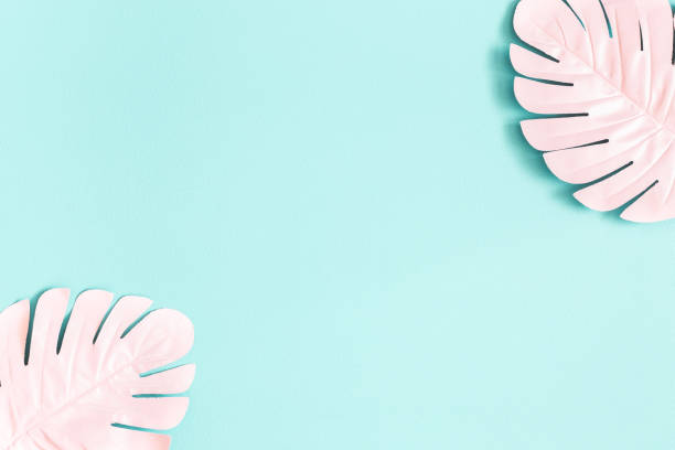 istock Summer composition. Pink palm leaves on blue background. Summer concept. Flat lay, top view, copy space 1149087841