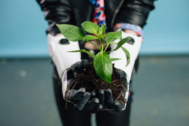 istock Robotic Arms Holding a Plant 1149088858