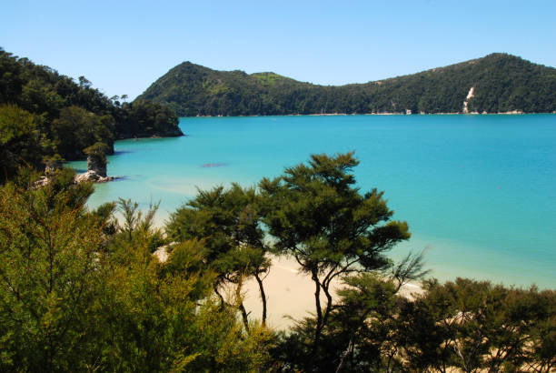 istock Abel Tasman National Park 1149089586