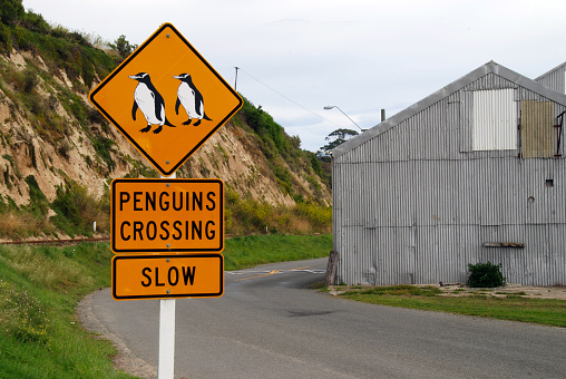 road sign with two penguins with tin shack and winding road