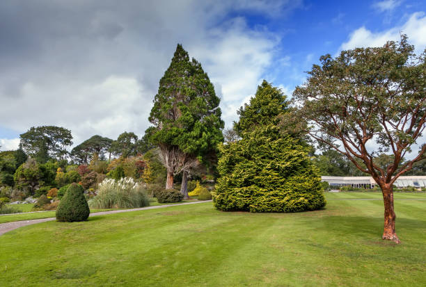 Landscape in Muckross Garden in County Kerry, Ireland