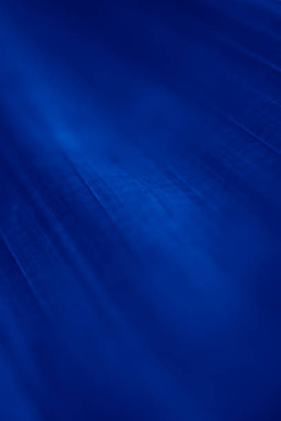 istock Abstract blue floral blurred background. Tropical palm leave backdrop 1149094193