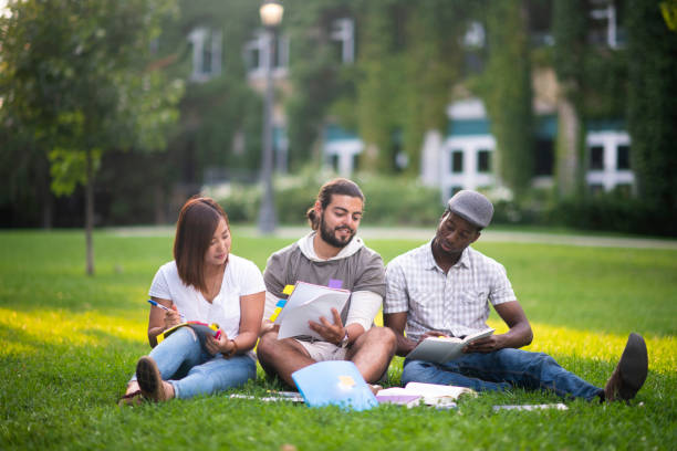 istock Sitting in the grass and studying 1149098274