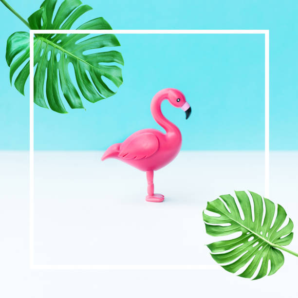 Flamingo bird model with monstera leaf on color background.Summer and animal concepts ideas
