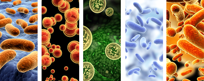 Collection of vertical banners with pathogenic bacterias and viruses. 3d render