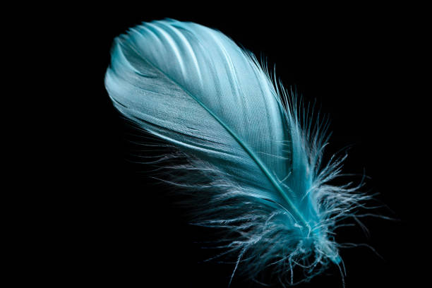istock lightweight blue plume isolated on black with copy space 1149102870