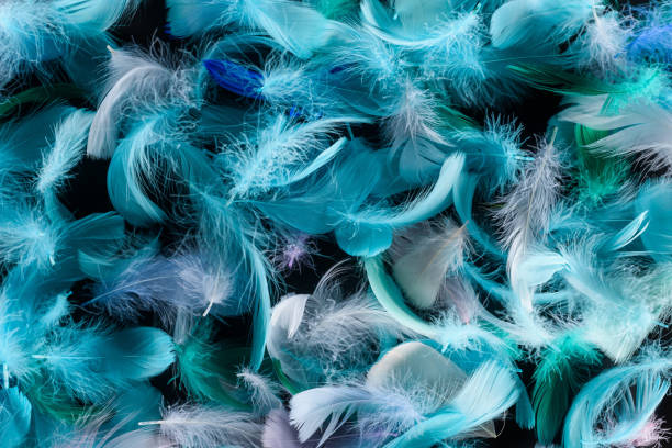 istock seamless background with bright blue, green and turquoise feathers isolated on black 1149102928