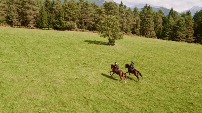 AERIAL Two people riding running horses in the meadow