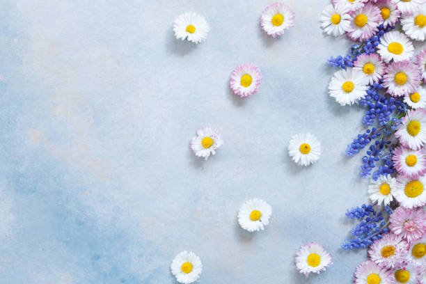 istock Floral Pattern frame of daisies and muscari 1149105625