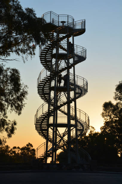 DNA tower in Perth DNA tower in Kings Park, Perth, Australia kings park stock pictures, royalty-free photos & images