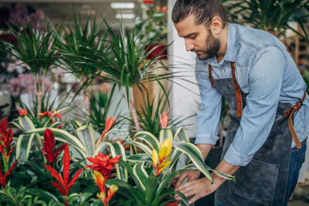 istock Man working at the flower shop 1149108848