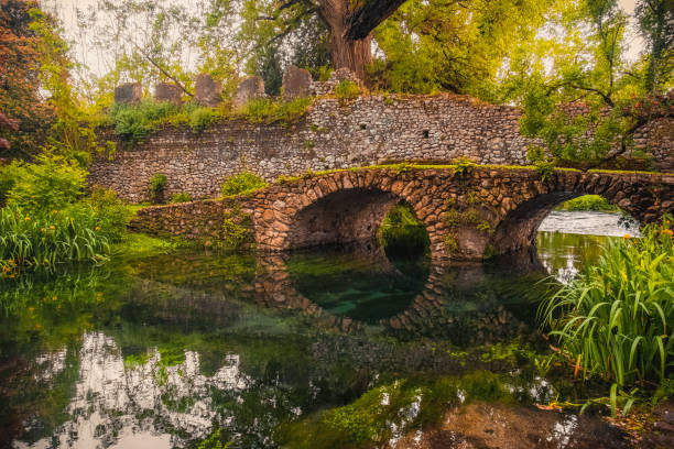 istock dreamlike medieval fantasy forest landscape river bridge 1149109017