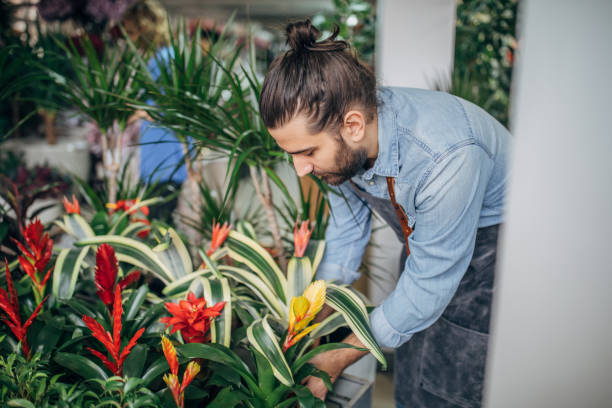 istock Bearded man working at the flower shop 1149109077