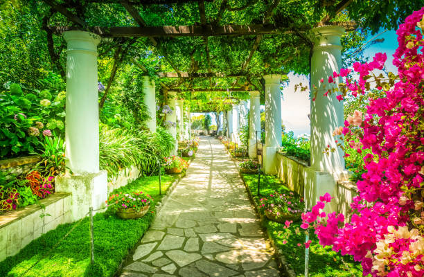 istock Capri island, Italy 1149110701