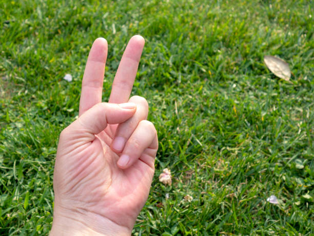 istock male hand on the grass 1149112076