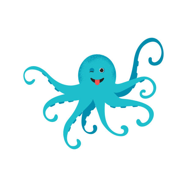 2,423 Funny Squid Stock Photos, Pictures & Royalty-Free Images - iStock