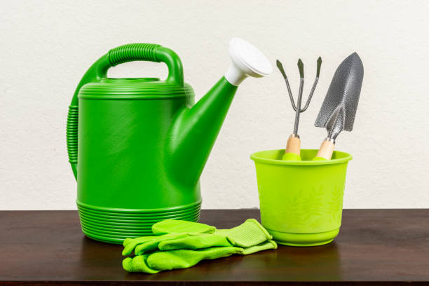 istock Gardening Tools Against White Textured Background 1149116388