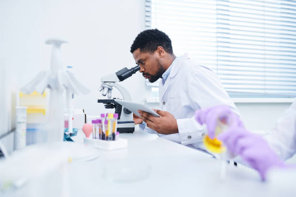 Concentrated lab technician using microscope Concentrated handsome black male lab technician with beard sitting at table and using microscope while analyzing sample and working with data on tablet african american scientist stock pictures, royalty-free photos & images