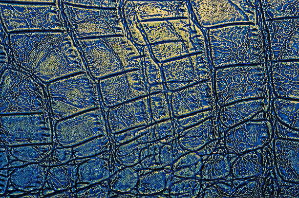 istock Abstract crocodile leather texture background, closeup. Blue and gold color. 1149118194