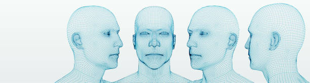 ilustrações de stock, clip art, desenhos animados e ícones de three dimensional heads. set. ware mesh from 3d app. - people the human body human head human face