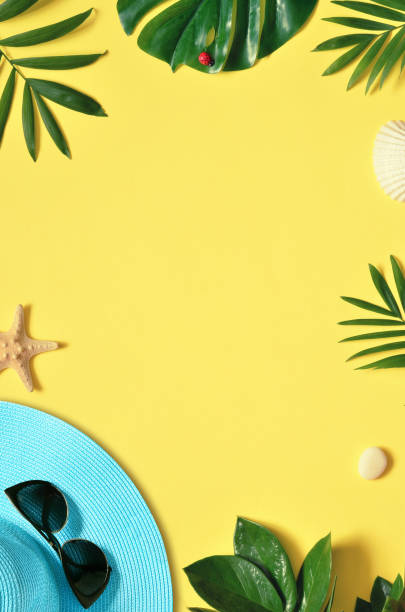 Tropical Background. Palm Trees Branches with starfish and seashell on yellow background. Travel. Copy space.