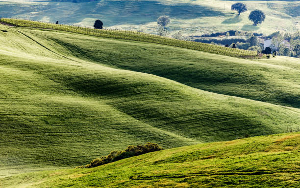 istock Sunny landscape from Val d'Orcia, Tuscany, Italy 1149122392